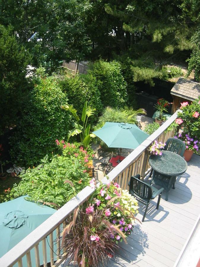 Thomas Webster House Hotel Cape May Exterior foto